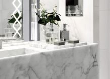 Marble bathroom with natural accents.