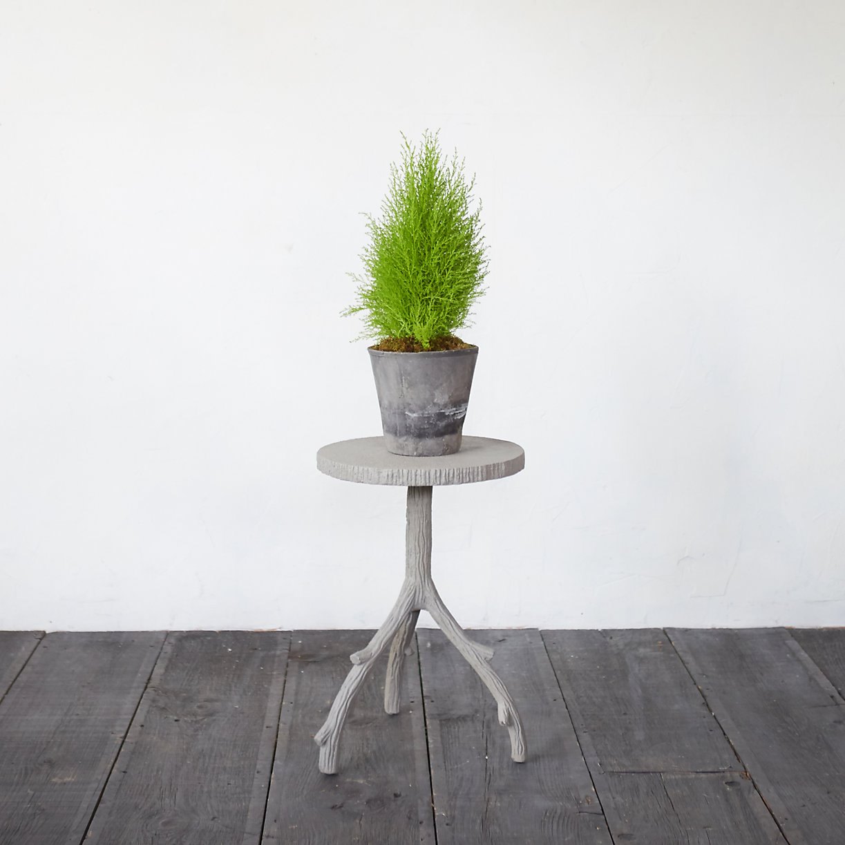 Plant stand from Terrain