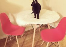 A black cat is on top of a white round table which also has two red chairs.