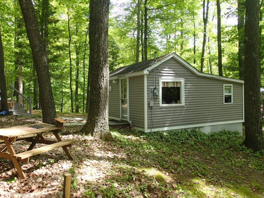 Exterior of tiny home on a slight hill, fronted by two large trees and a wood picnic bench.