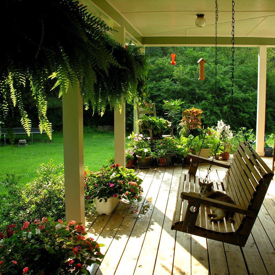 A simple wooden swing on a porch surrounded by greenery