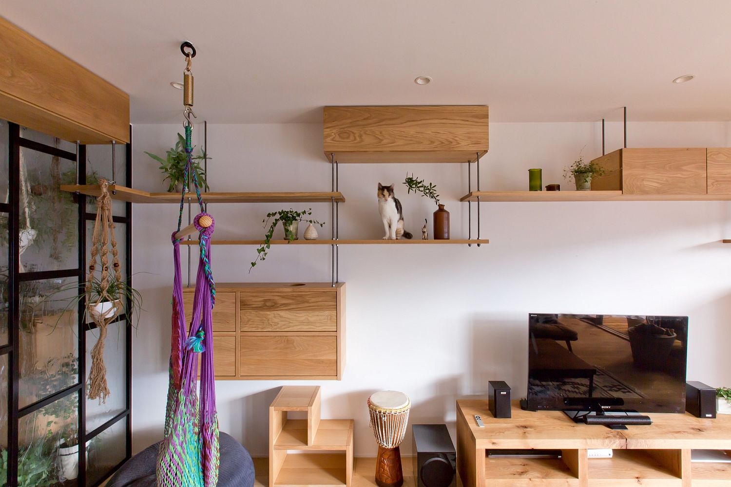 Combining a love for cats and plants with space-conscious home design