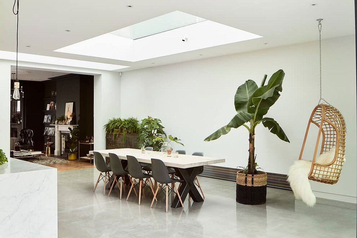 Large indoor plant and the hanging chair add an interesting visual to the dining space