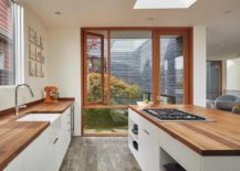 Skylight-along-with-the-large-window-bring-natural-light-into-the-lovely-kitchen-217x155