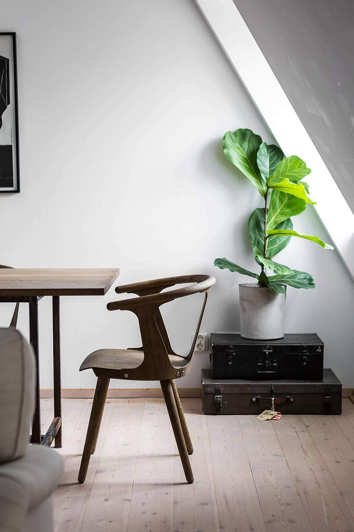 Trunks in the corner with a plant make a fun addition to the dining space