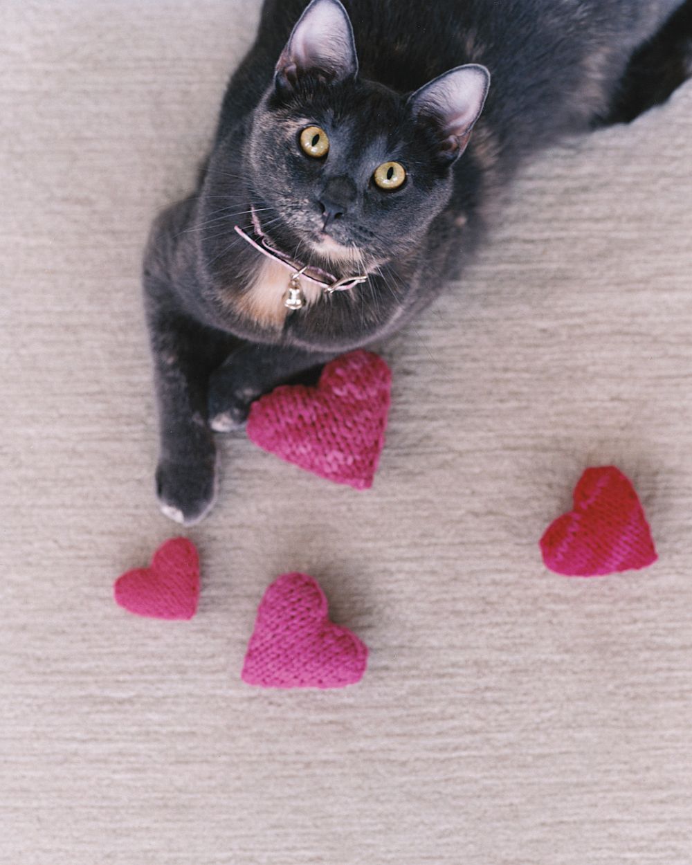 Valentine's Day DIY Knitted Catnip Delight