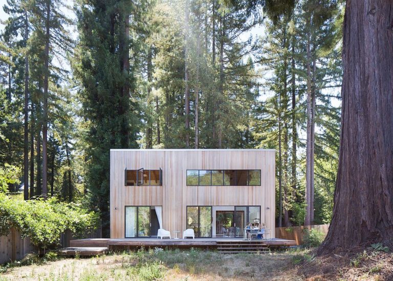 Imposing Old Redwoods Surround this Modern Vacation Home in California