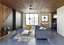 Dark-wooden-wall-adds-contrasta-nd-polished-elegance-to-the-living-area-217x155