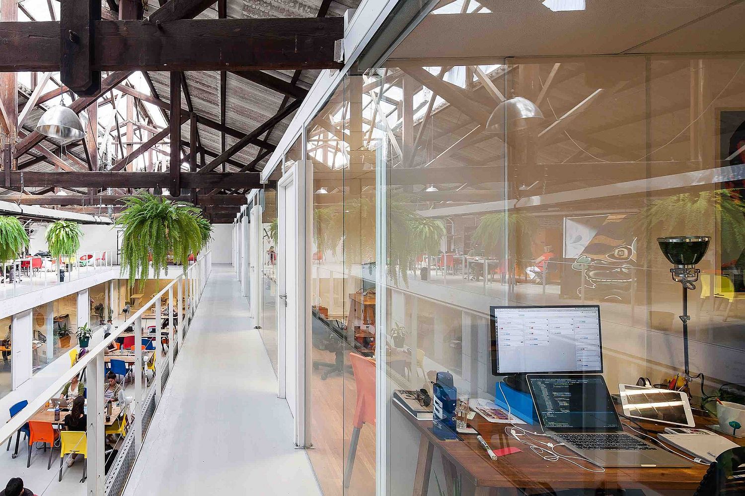 Glass walls create private, yet bright office spaces