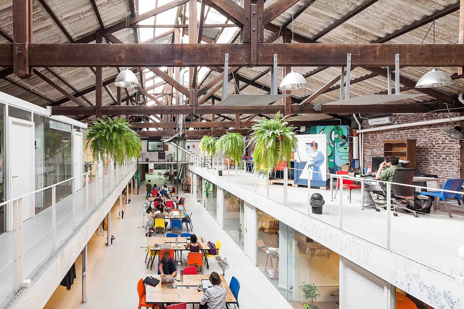 Indoor-plants-become-an-essential-part-of-the-modern-industrial-office-makeover