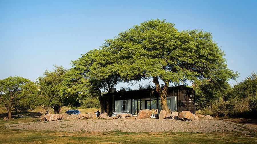 Two large trees provide natural shade to the shipping container sales office