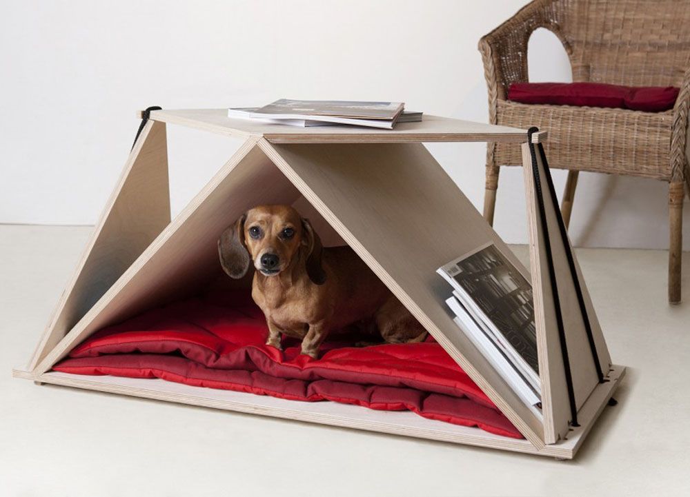 Contemporary coffee table as a versatile dog nook