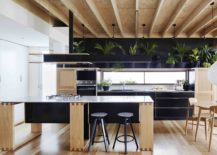 Dark-backdrop-of-the-kitchen-enlivened-using-gorgeous-indoor-plants-217x155