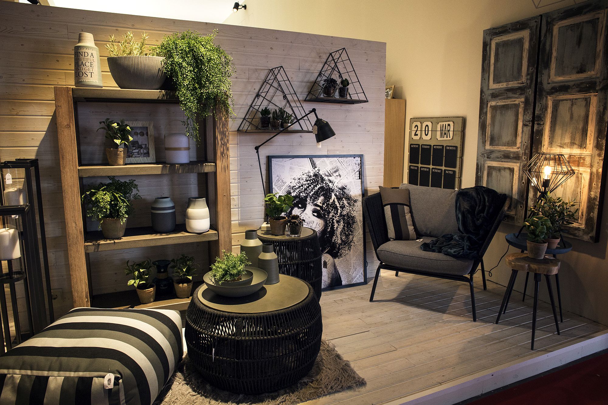 Decorate your living room shelves with refreshing indoor plants