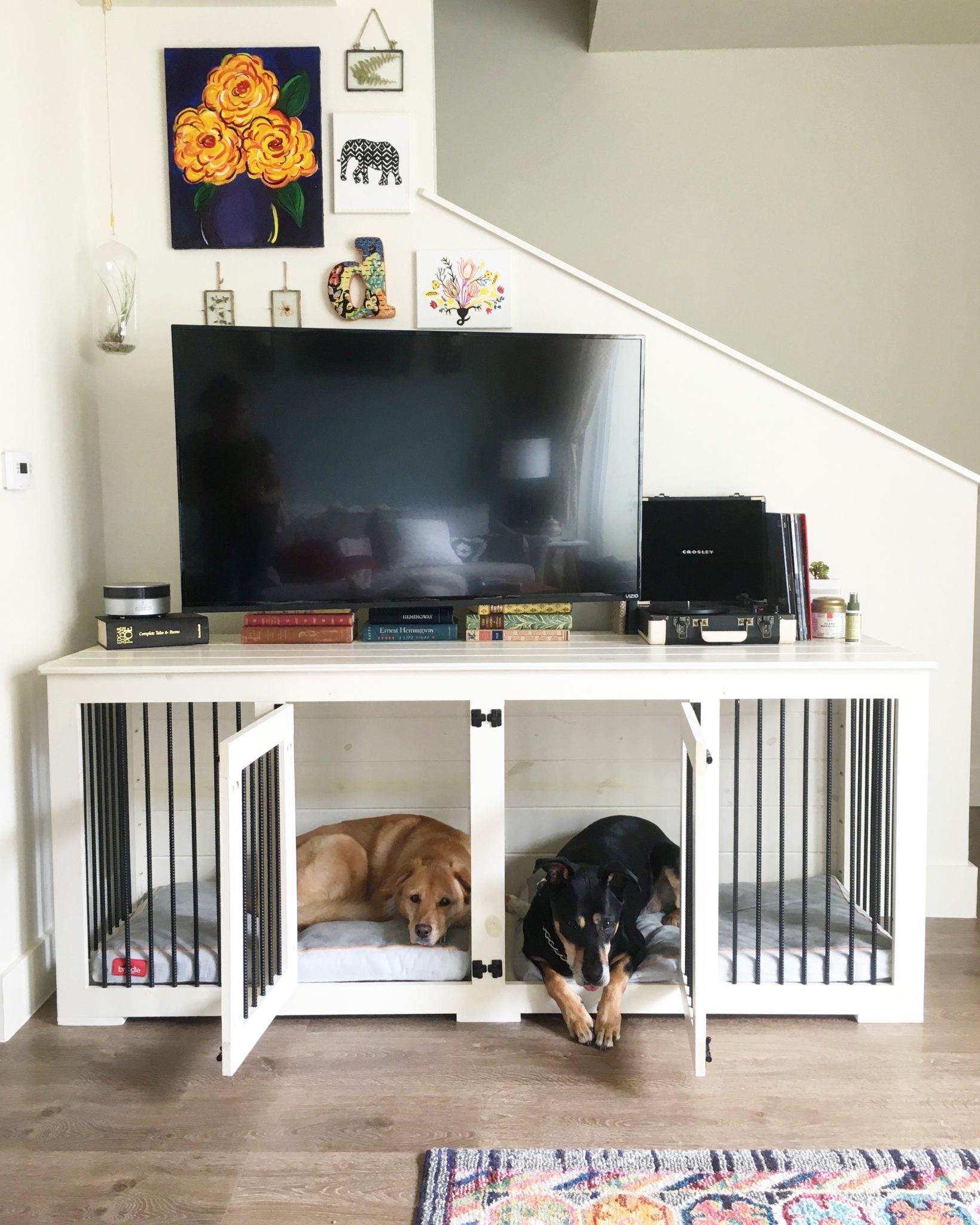 Dog crate in living room sale