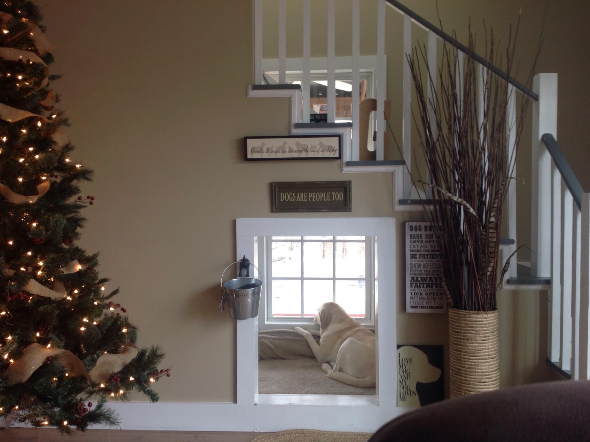 Doggy den under the staircase