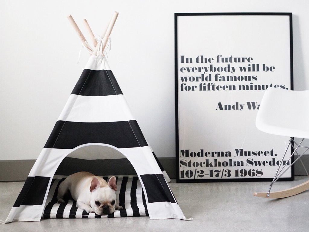 Doggy-teepee-as-the-perfect-hiding-space