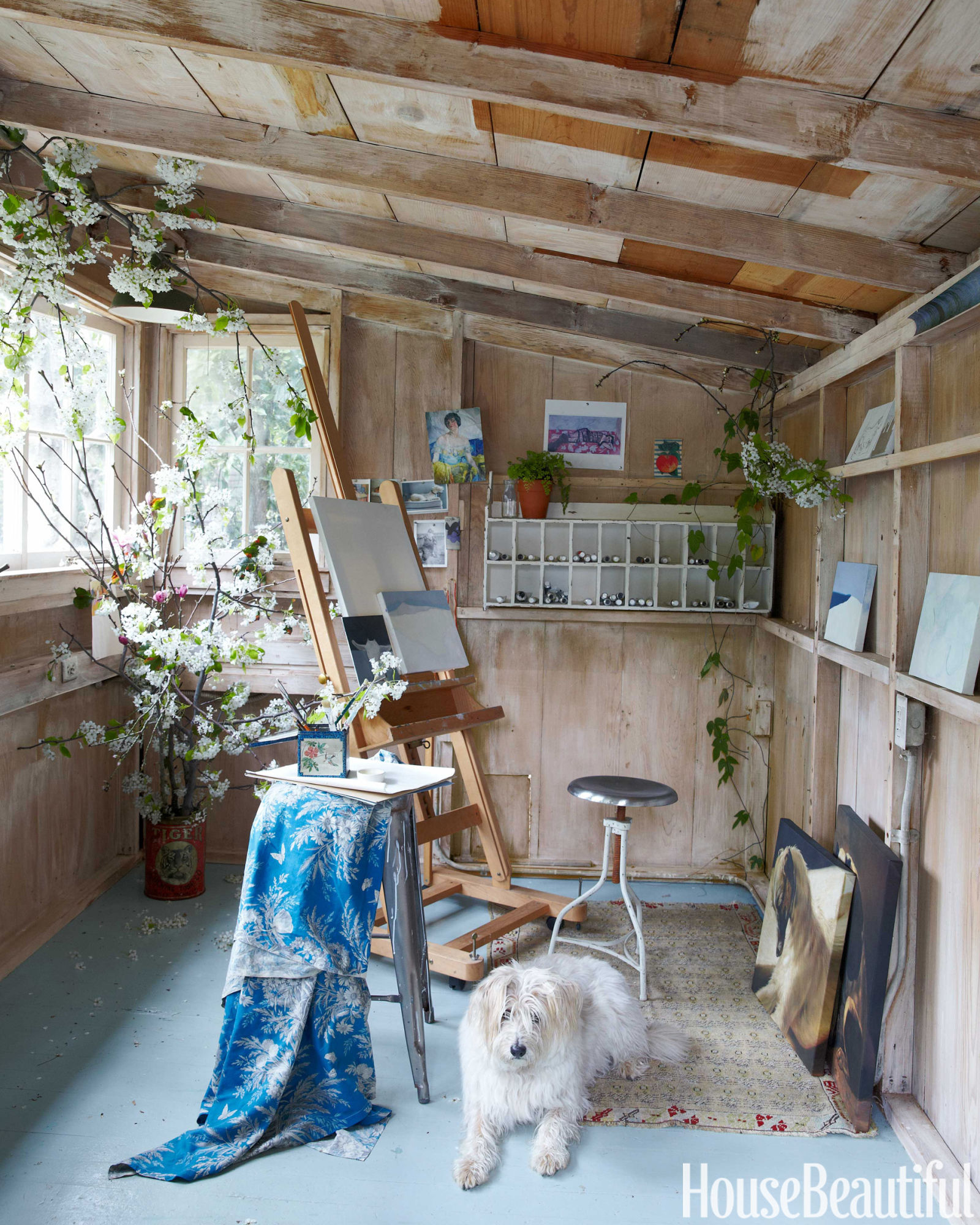 An art studio with wooden walls and a dog sitting on the floor.