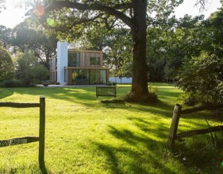 Woodpeckers: Holiday Home in UK on the Edge of a Forest