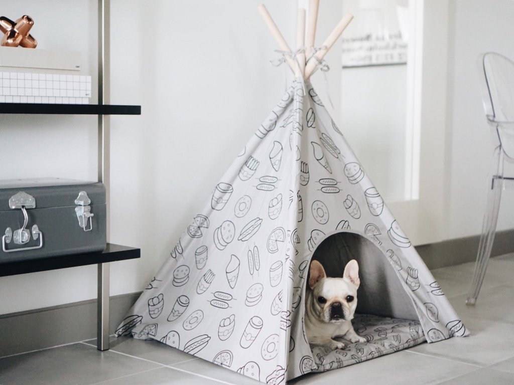 Stylish-and-comfortable-puppy-teepee