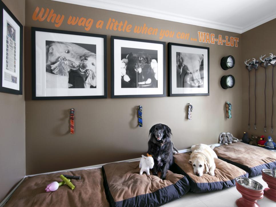 Turn-a-whole-room-into-a-dog-nook