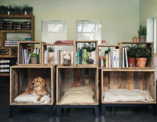 Pet Owner's Delight: Beautiful Dog Nooks That Add To Your Interior