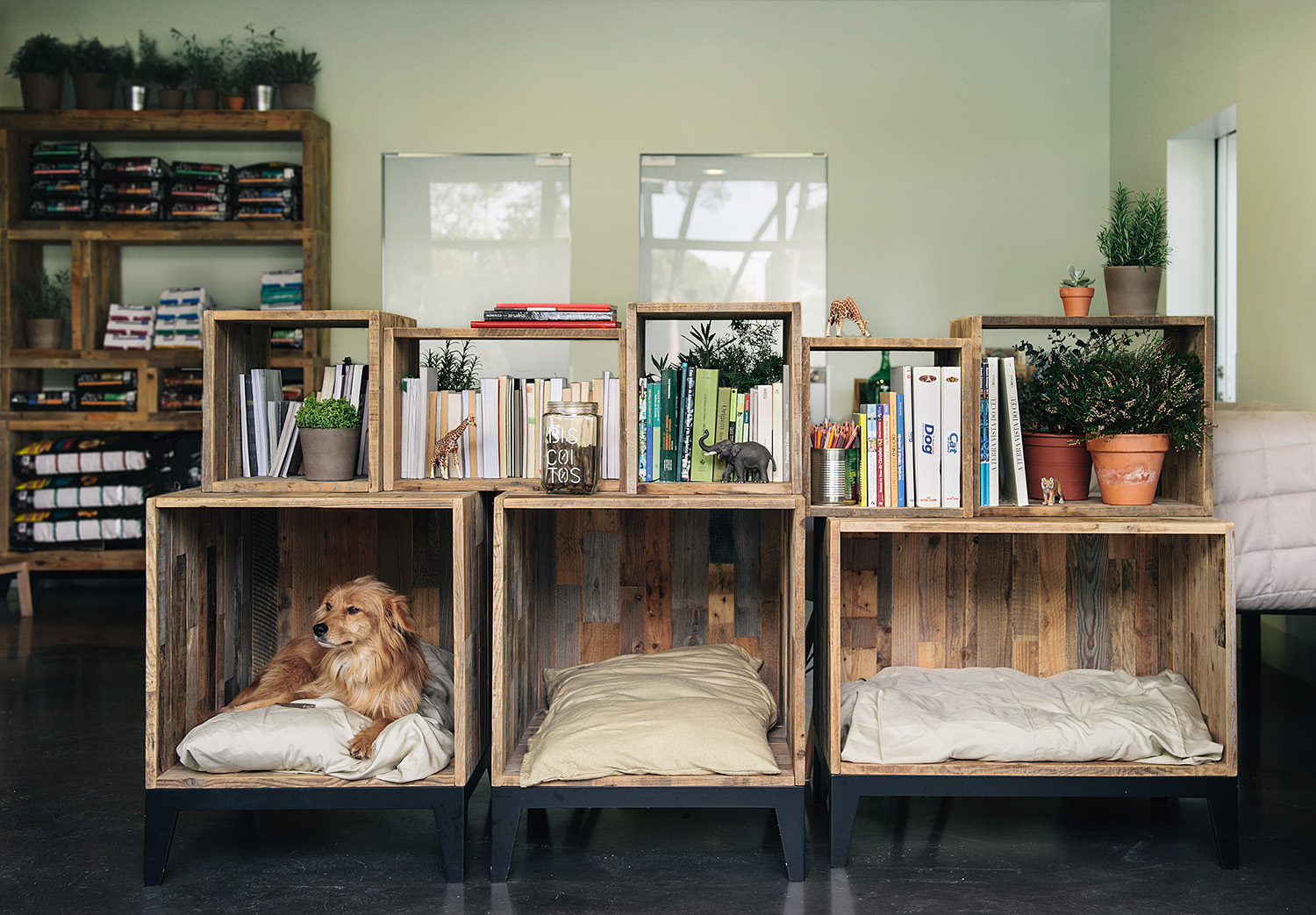 Wooden crates as comfy dog beds and rustic decor pieces