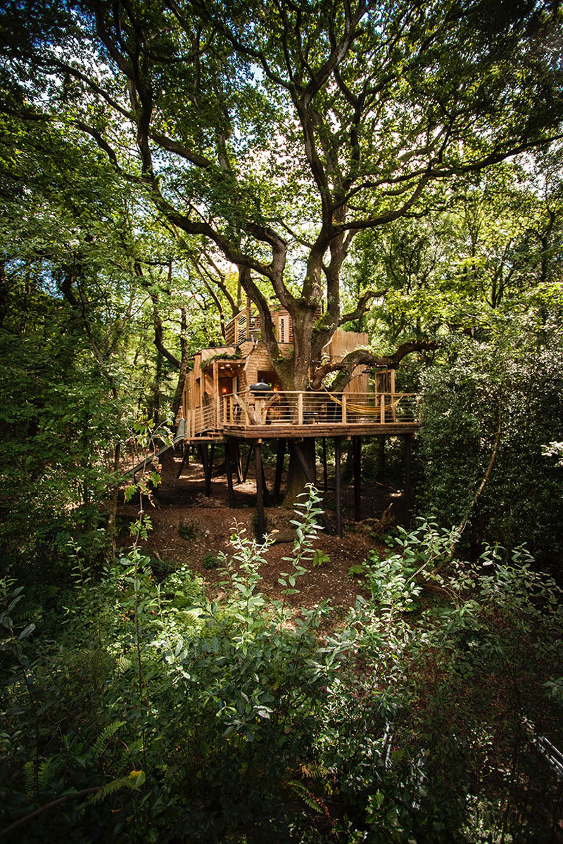 A big treehouse hidden deep within the forest