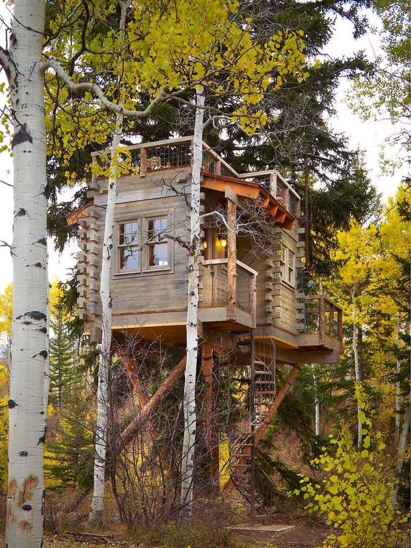 A-big-wooden-treehouse-with-a-dynamic-shape