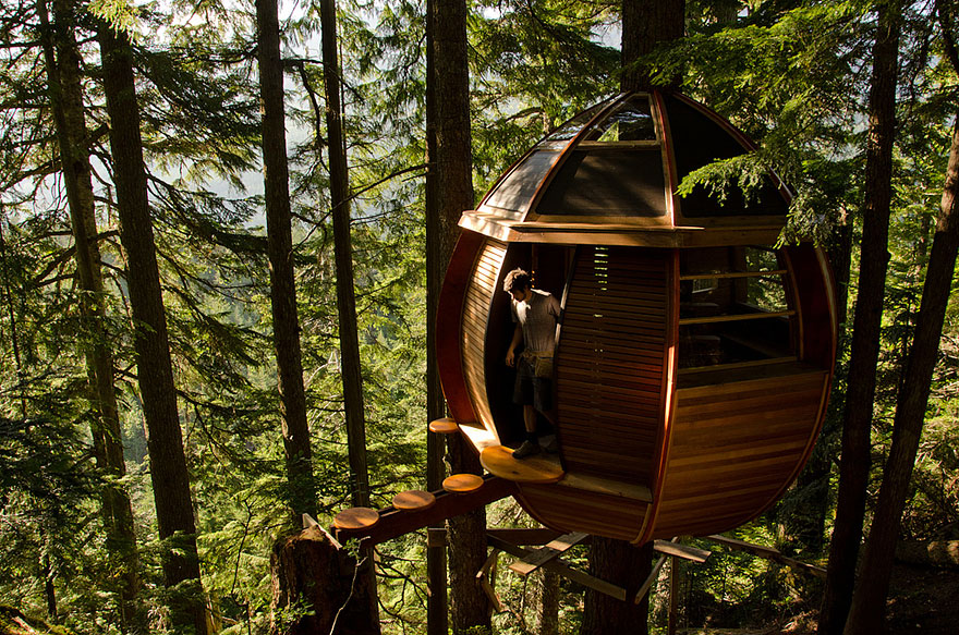 A small treehouse high above the ground