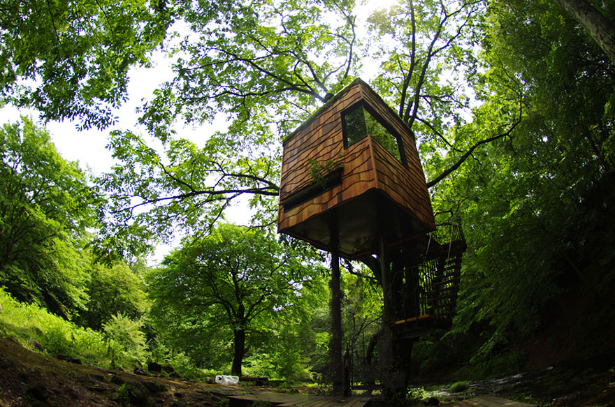 A tiny treehouse blends in with the trees