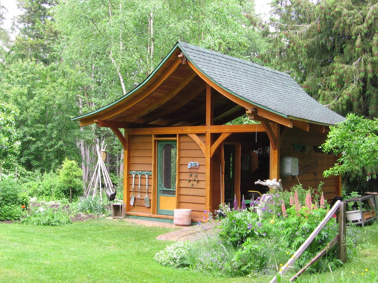 A traditional wooden garden shed