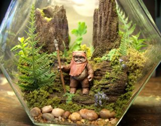 15 Delightfully Diverse DIY Terrarium Ideas: Tiny Green Delights!