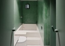 Greeen-adds-vibrance-to-the-bathroom-in-white-217x155