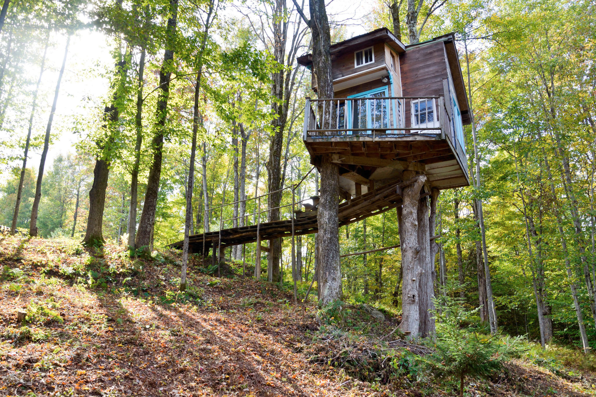 Little wooden treehouse with big windows