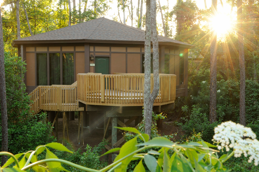 Modern treehouse with a light fenced deck