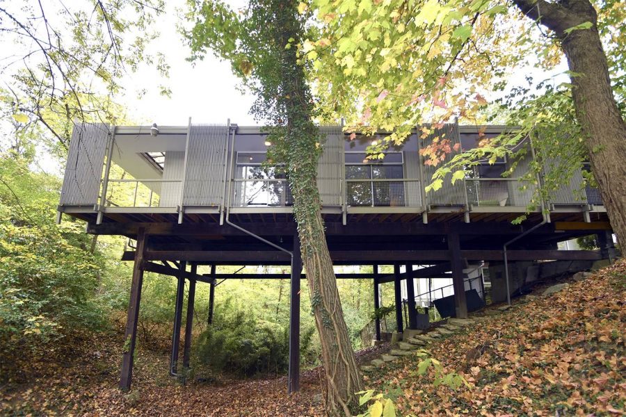 Modern treehouse with an industrial look