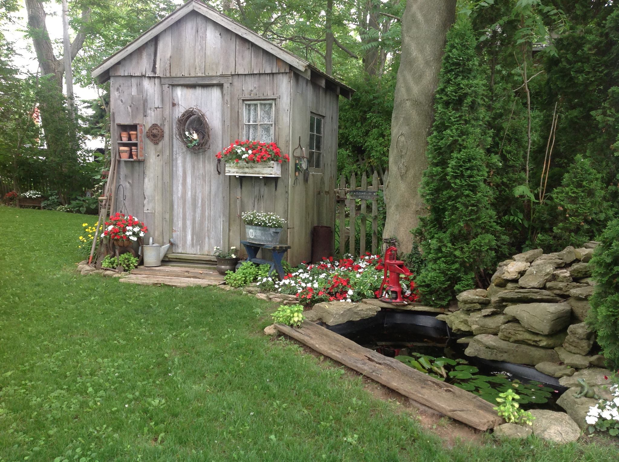 Rustic garden shed softened by the blooming florals