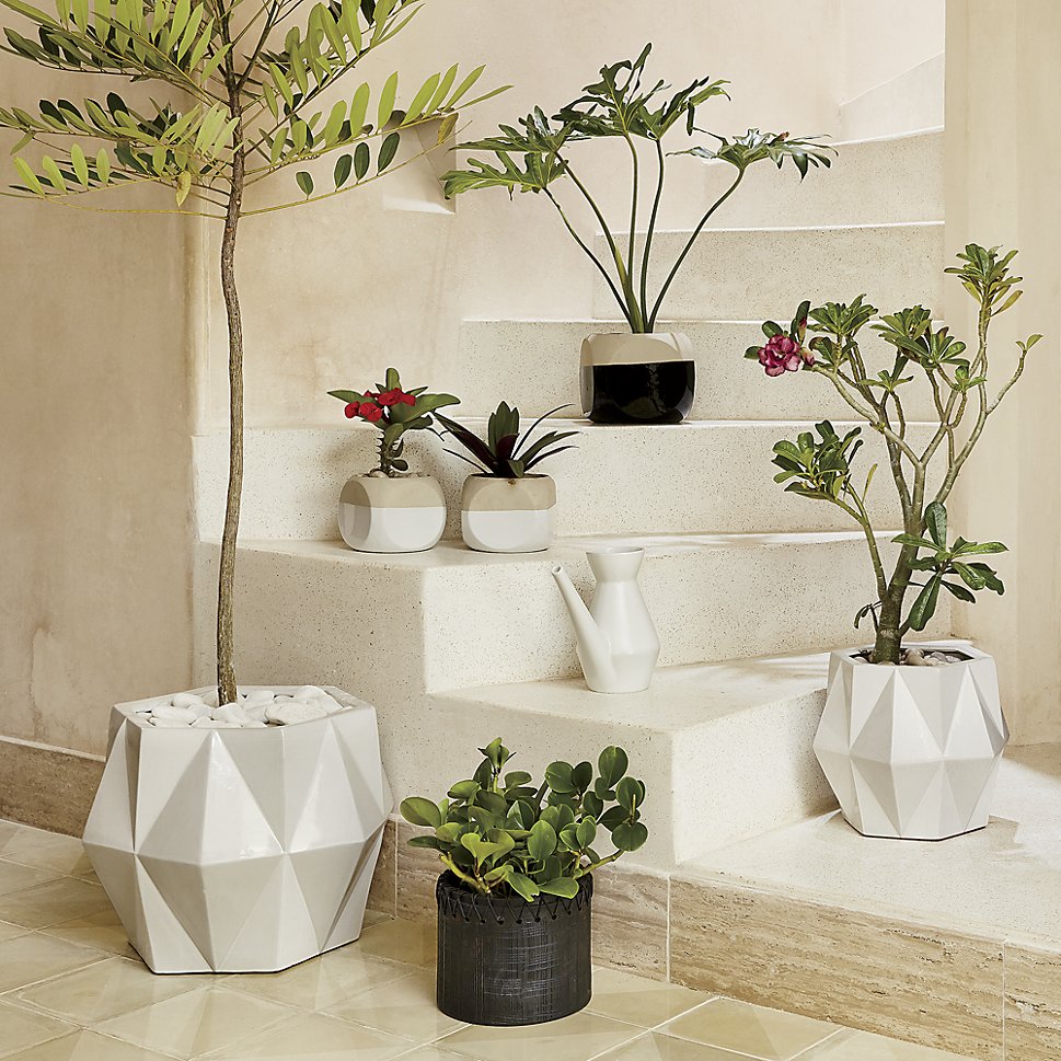 Sculptural-planters-make-a-statement