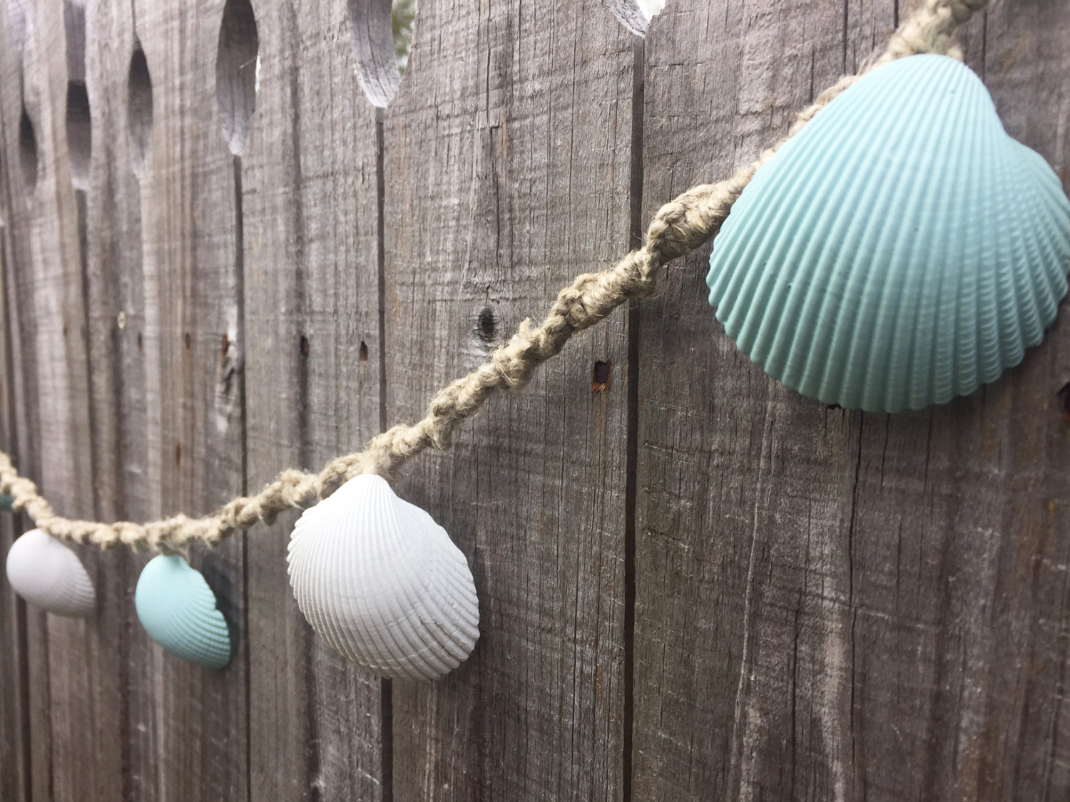 Seashell garland design