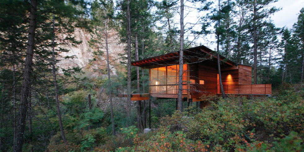 Serene polished red wood treehouse