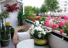 Small-balcony-with-florals-in-a-wide-palette-of-colors-217x155