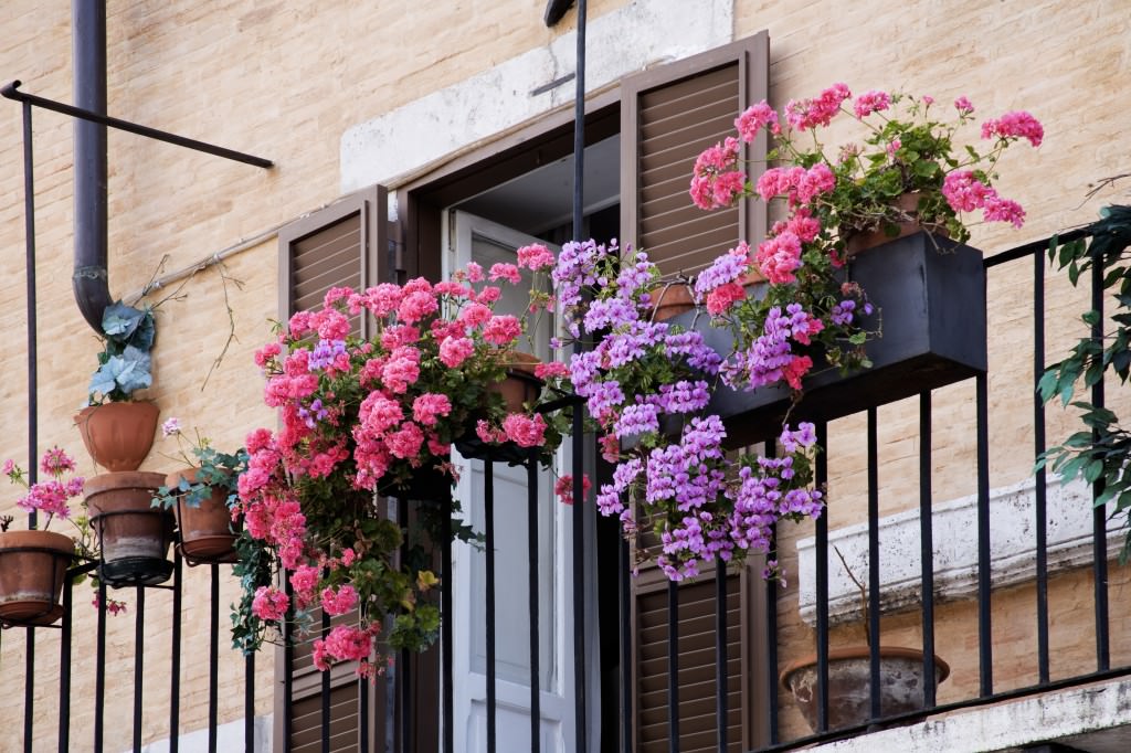 Small balcony with flowers on the iron railing