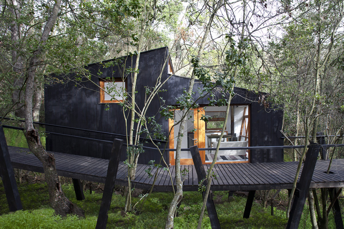 Sophisticated-and-contemporary-black-treehouse