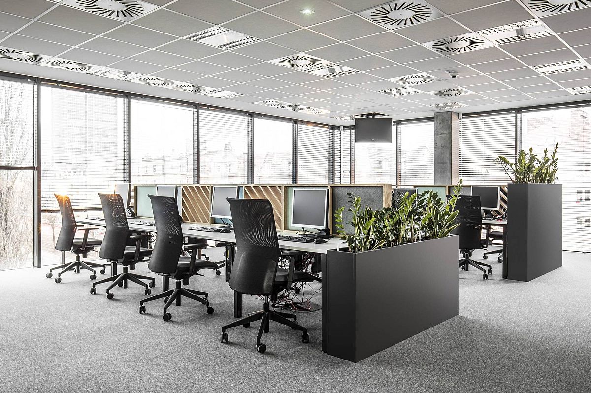 Sound absorbing partitions and indoor plants bring better acoustics