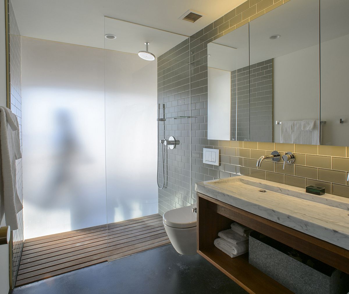 Translucent doors and partition for the shower area