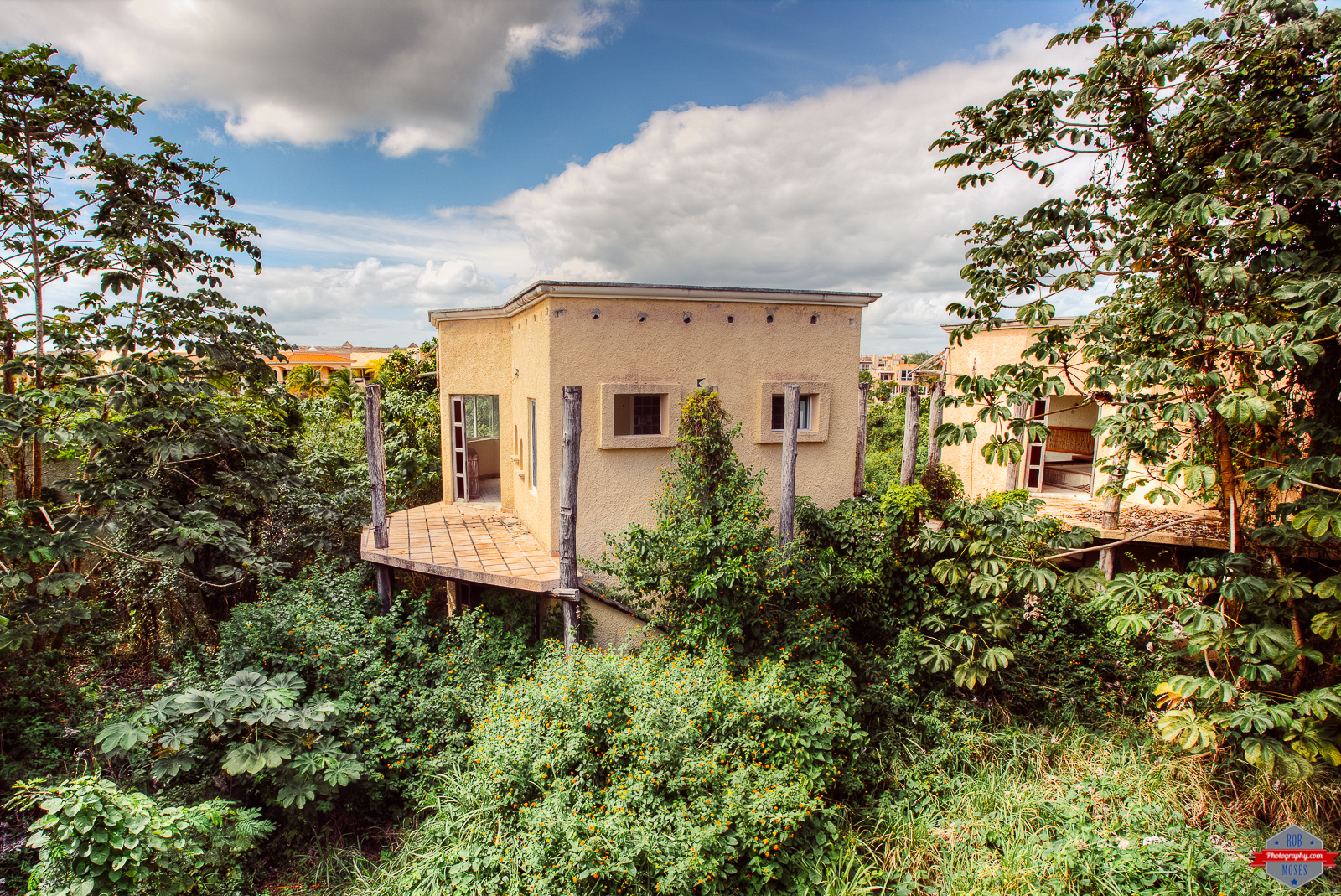 Treehouse with a noticeable sand-colored exterior