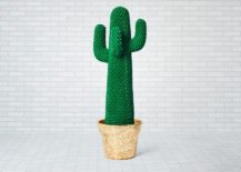 Cactus-217x155