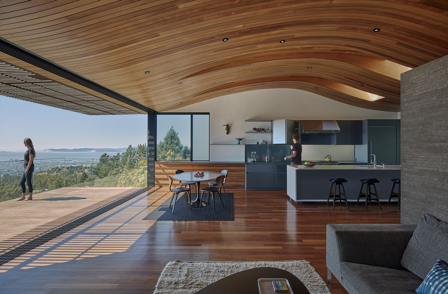 Wood Tube and Curved  Ceiling  Shape Skyline House Atop 