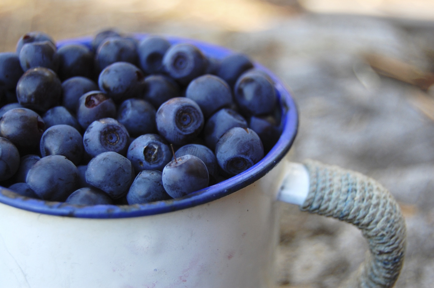 Finnish-blueberries